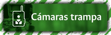 C&aacute;maras trampa